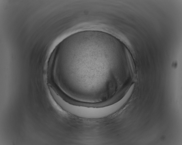 X0000092251528200710051249