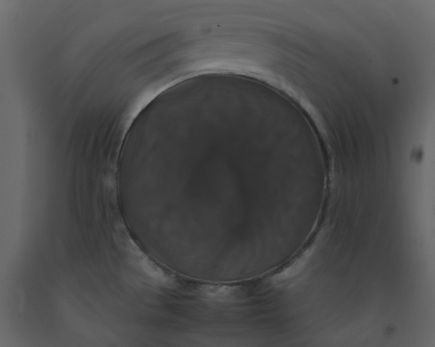 X0000092251529200710051249