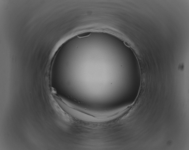 X0000092251530200710051249