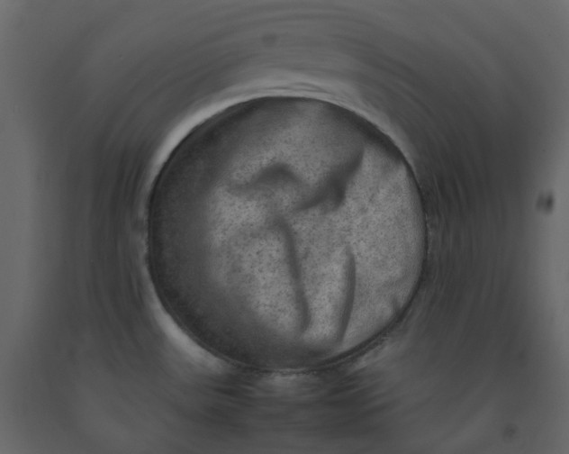 X0000092251531200710051249