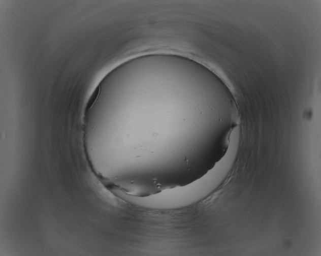 X0000092251532200710051249