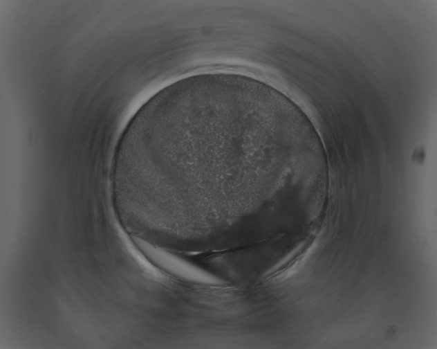 X0000092251533200710051249