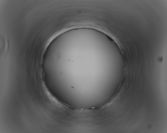 X0000092251534200710051249