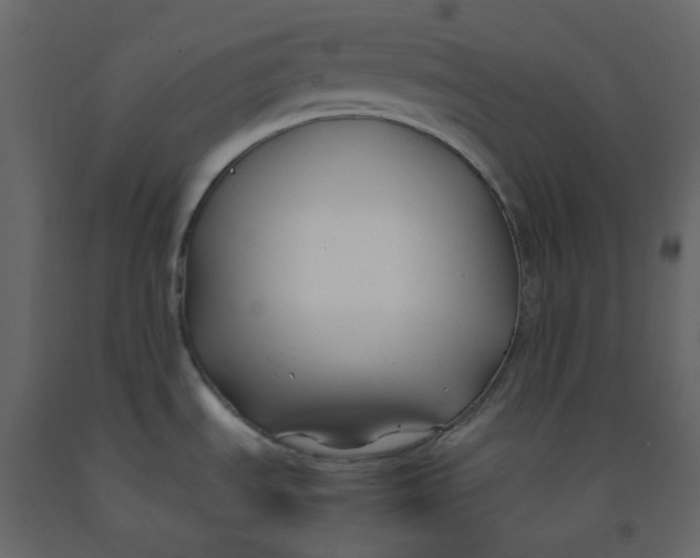 X0000092251535200710051249