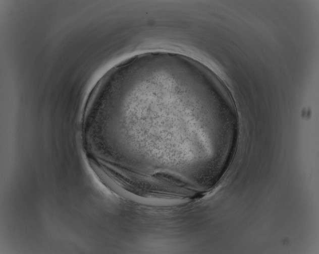 X0000092251536200710051249