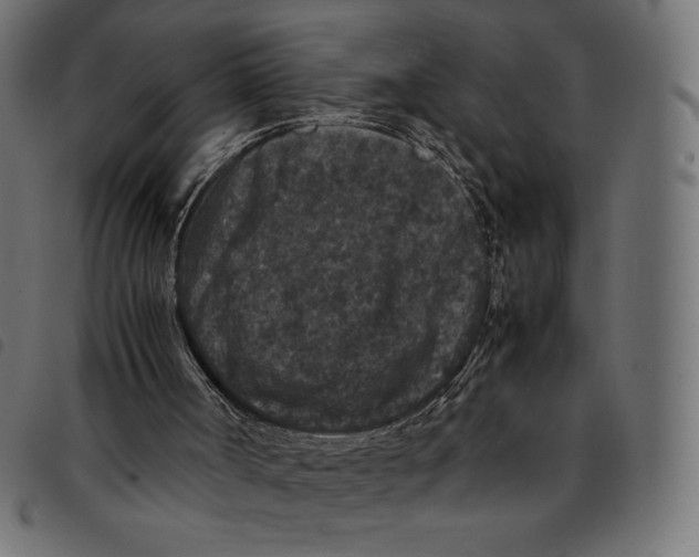 X0000092250002200710121309