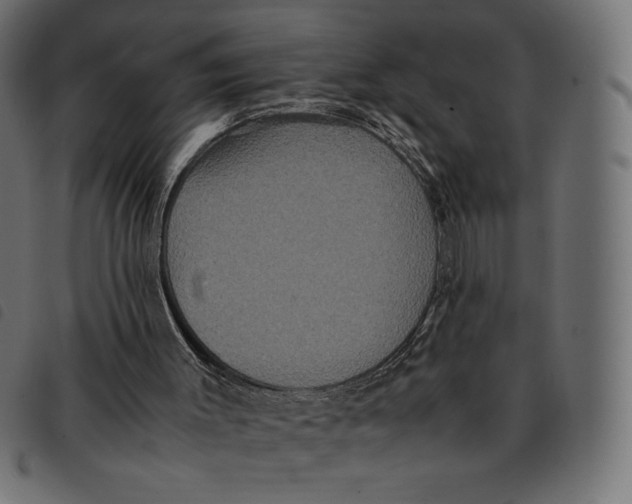 X0000092250003200710121309