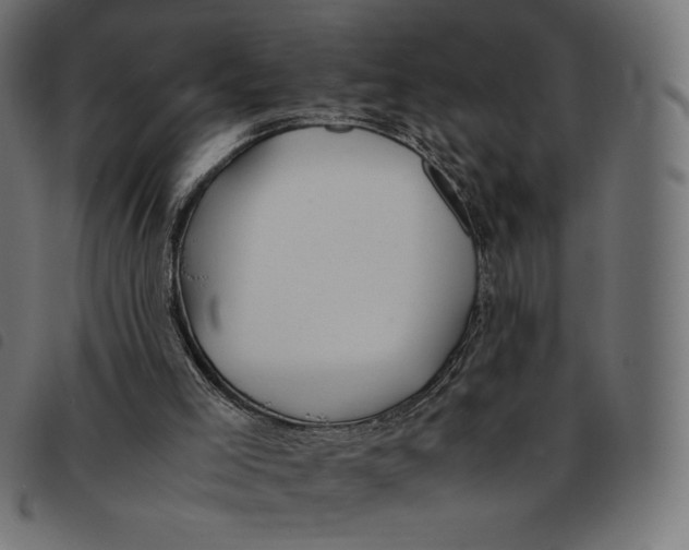 X0000092250005200710121309