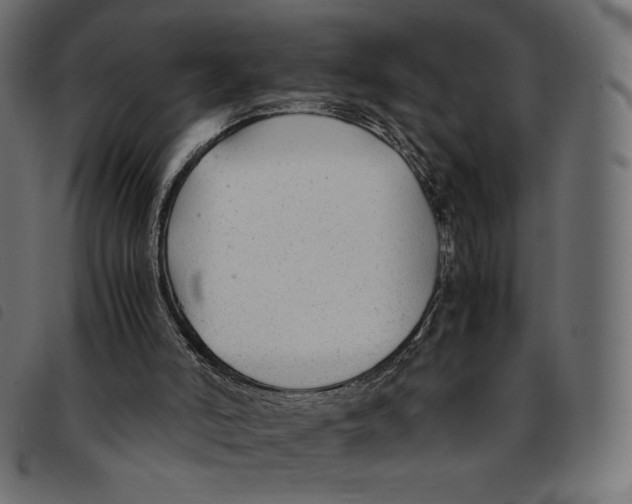 X0000092250006200710121309