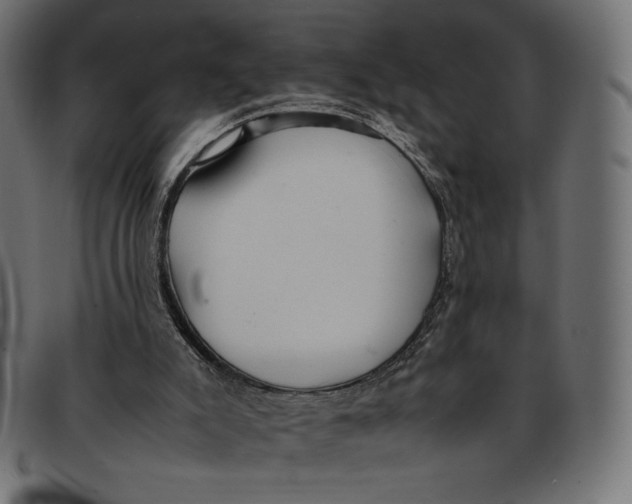 X0000092250007200710121309