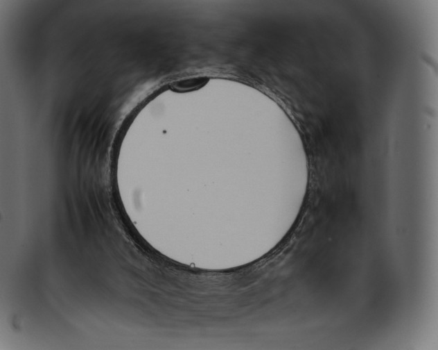 X0000092250008200710121309