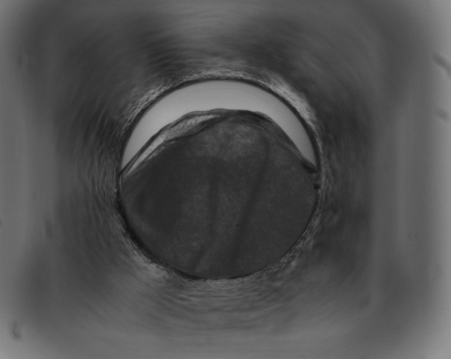 X0000092250009200710121309