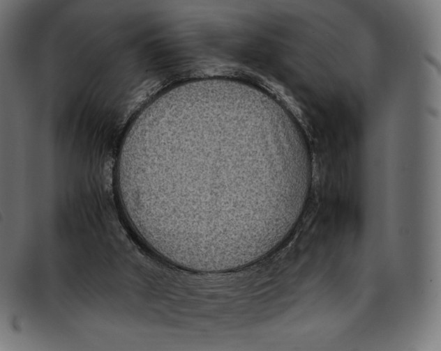 X0000092250010200710121309