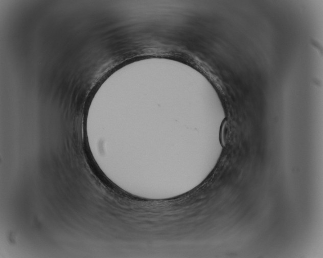 X0000092250011200710121309