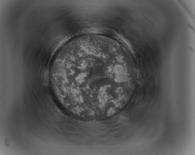 X0000092250012200710121309