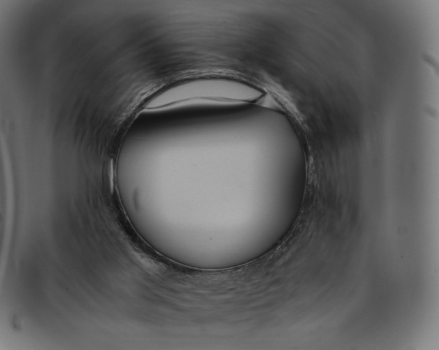 X0000092250013200710121309