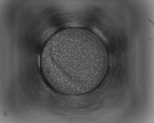X0000092250014200710121309