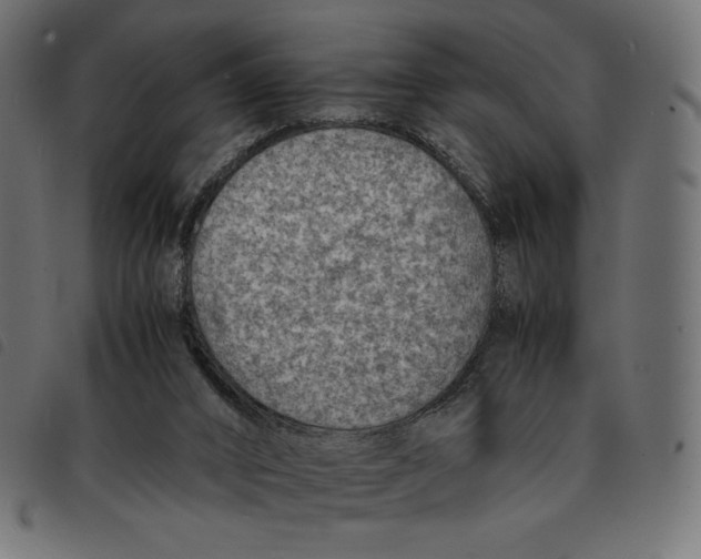 X0000092250016200710121308