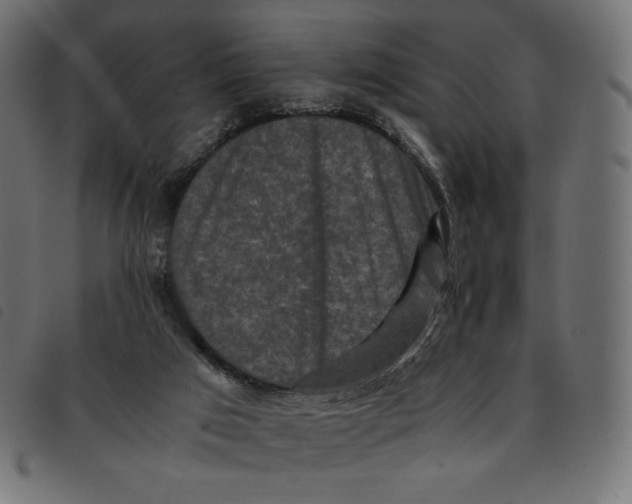 X0000092250017200710121308