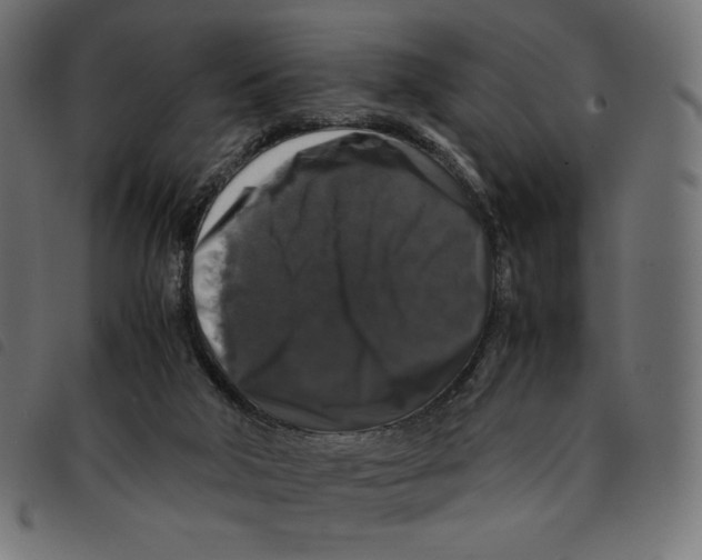 X0000092250018200710121308
