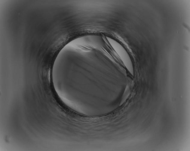 X0000092250019200710121308