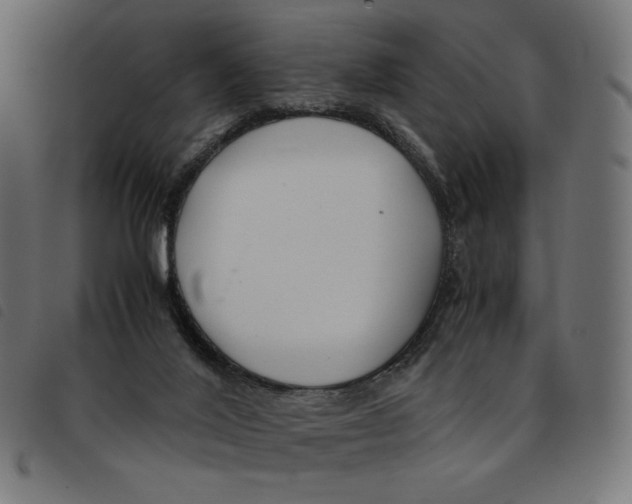 X0000092250020200710121308