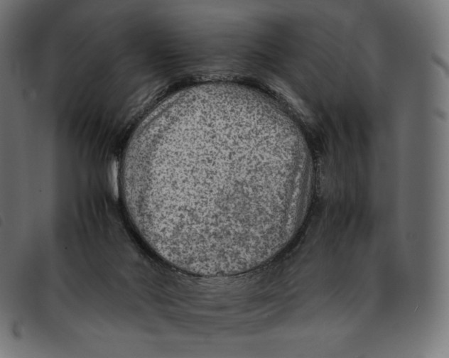 X0000092250022200710121308