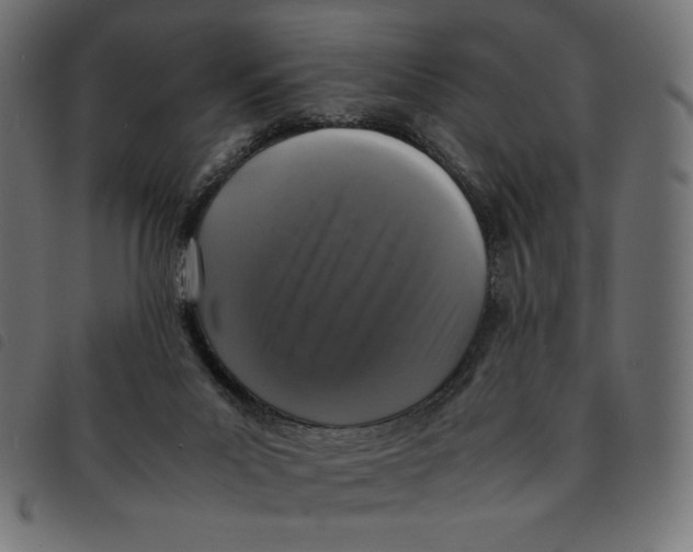 X0000092250023200710121308