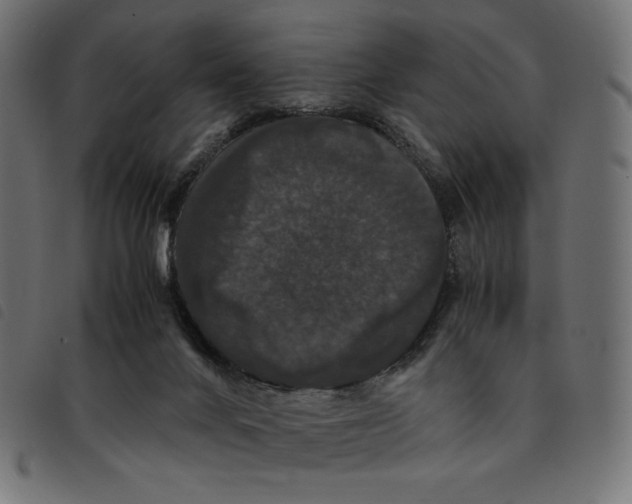 X0000092250024200710121308
