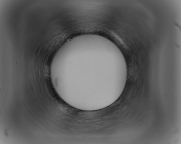 X0000092250025200710121308