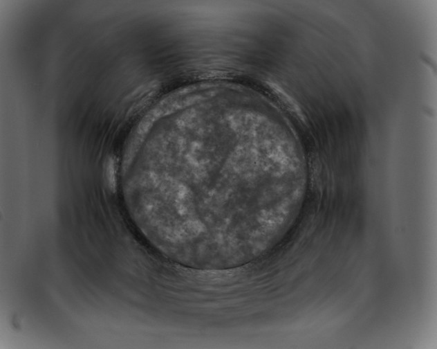 X0000092250026200710121308