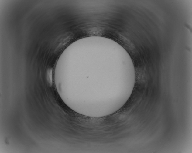 X0000092250028200710121308