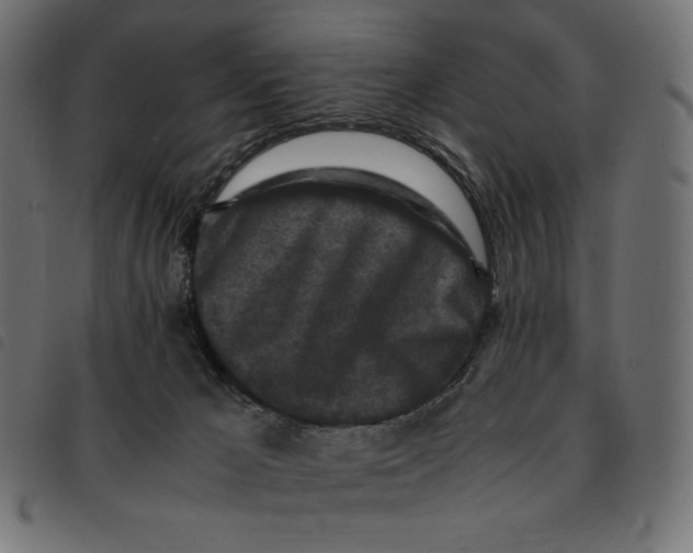 X0000092250029200710121308