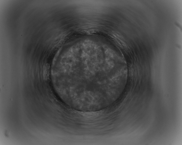 X0000092250030200710121308