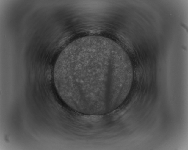 X0000092250032200710121308