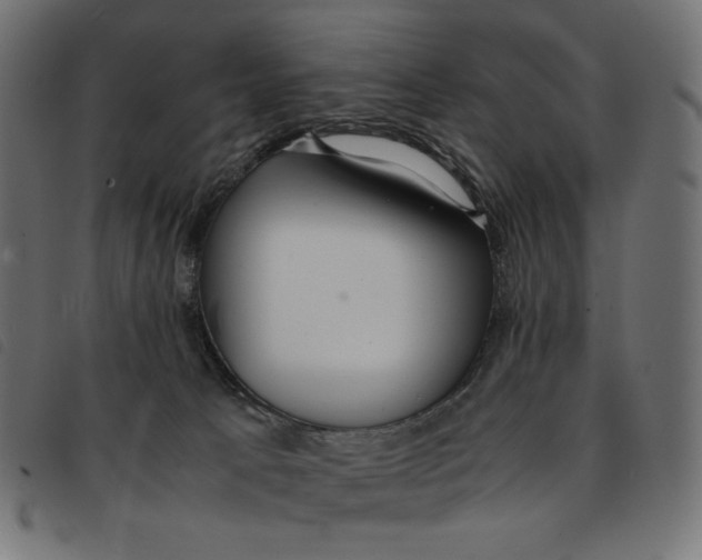 X0000092250033200710121308