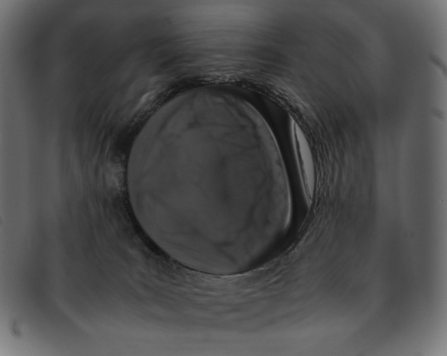 X0000092250035200710121308