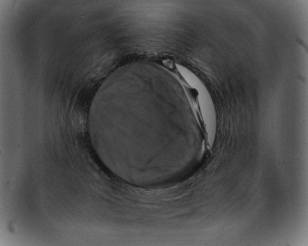 X0000092250039200710121308
