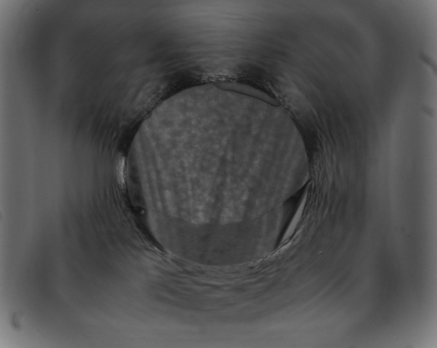 X0000092250041200710121308