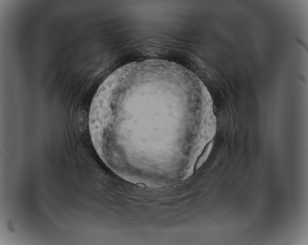 X0000092250043200710121308