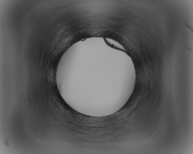 X0000092250044200710121308