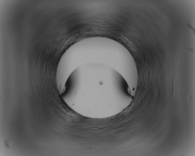X0000092250045200710121308