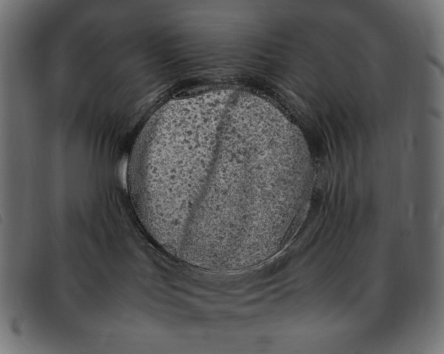 X0000092250047200710121308