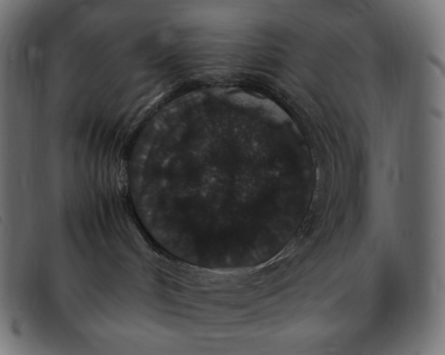 X0000092250048200710121308