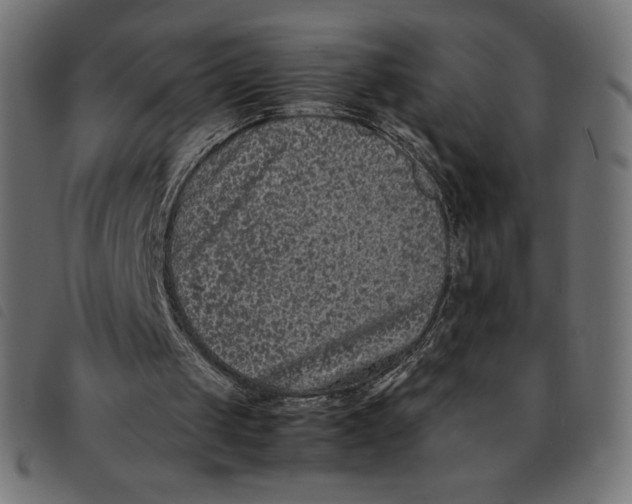 X0000092250049200710121307