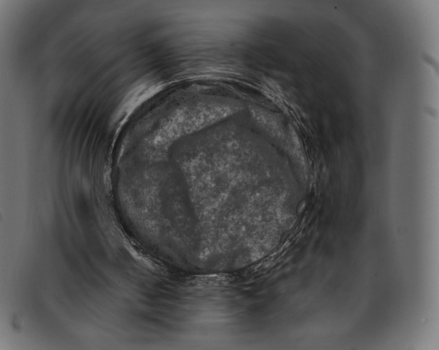 X0000092250050200710121307