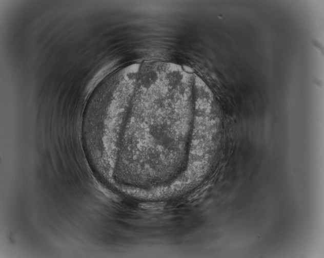 X0000092250051200710121307