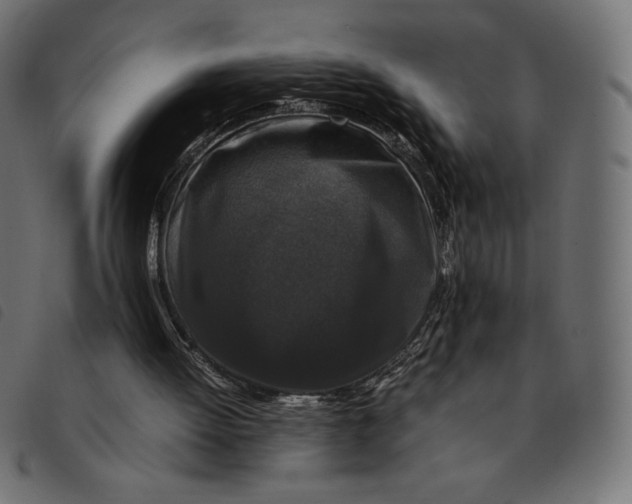 X0000092250052200710121307