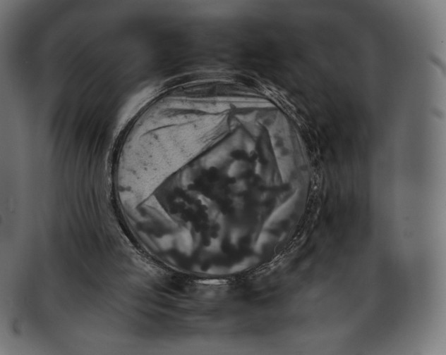 X0000092250053200710121307