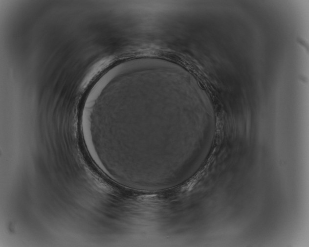 X0000092250054200710121307